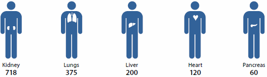 A person with their kidneys highlighted, a person with their lungs highlighted, a person with their liver highlighted, a person with their heart highlighted and a person with their pancreas highlighted.