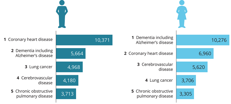 The top five leading causes of death are the same for males and females, albeit different rankings. In 2021, coronary heart disease was the leading cause for males, and dementia for females.
