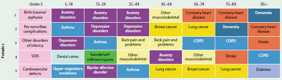 Figure showing the leading causes of total burden in females by age in 2011. They are: birth trauma/asphyxia (under 5), anxiety disorders (5-44), other musculoskeletal (45-64), coronary heart disease (65-84) and dementia (85+).