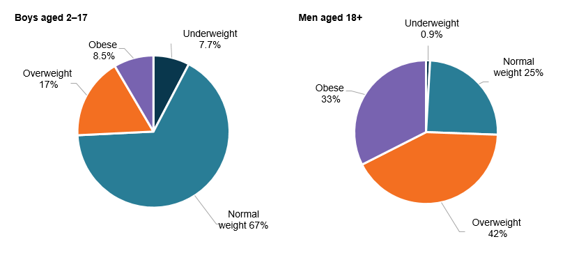 This figure is comprised of two pie charts. The first shows that, for boys aged 2–17, 7.7%25 were underweight, 67%25 were normal weight, 17%25 were overweight and 8.5%25 were obese. The second pie chart shows that, for men aged 18 and over 0.9%25 were underweight, 25%25 were normal weight, 42%25 were overweight and 33%25 were obese.