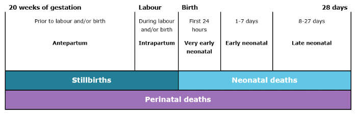 The figure shows a timeline from 20 weeks of gestation to 28 days of birth and defines perinatal deaths, stillbirths and neonatal deaths based upon when they occur within this time period. The period from 20 weeks of gestation to 28 days after birth is classified as a perinatal death. Twenty weeks of gestation until labour and/or birth is classified as a stillbirth. From the first 24 hours to the 28 days after birth is defined as a neonatal death.