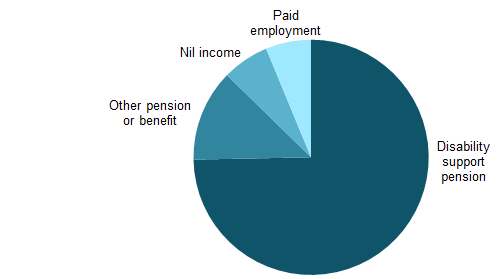 The pie chart shows that 74%25 of NDA service users with autism reported the disability support pension as their main source of income, 13%25 reported other pension or benefit, 6%25 reported paid employment and 6%25 reported nil income.