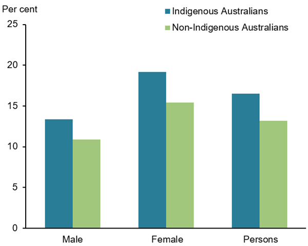 This vertical bar chart compares the age-adjusted percentage of self-reported arthritis among Indigenous and non-Indigenous Australians by sex. Among the Aboriginal and Torres Strait Islander population, 19.2%25 of females and 13.4%25 of males are affected (and overall 16.5%25 of the total Indigenous population), while in non-Indigenous Australians 10.9%25 of males, 15.4%25 of females and 13.2%25 of the total population are affected (Figure 2).