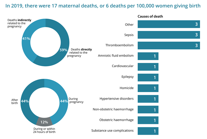 The figure shows a donut chart of the classification of maternal deaths, a donut chart of the timing of maternal deaths and a bar cart of the causes of death for 2019. In 2019, 59%25 of deaths were directly related to the pregnancy.