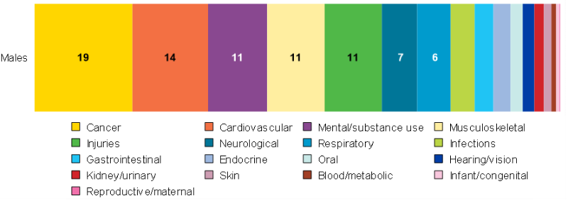 This chart represents the disease groups that contribute to ill health and death in males. Leading causes are cancer, cardiovascular diseases, mental health and substance use disorders, and injuries.