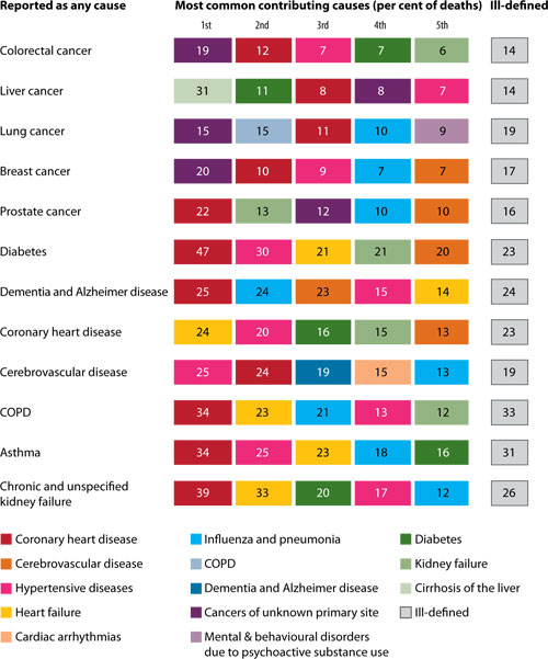 Graphical table showing the most common associated causes of death for the following chronic diseases as any cause, from 2005 	to 2007: colorectal cancer, liver cancer, lung cancer, breast cancer, prostate cancer, diabetes, demetia and alzheimer disease, coronary heart disease, cerebrovascular disease, COPD, asthma, and chronic and unspecified kidney failure. The first five most common contributing causes of death are shown, with a percentage for each. These include: coronary heart disease, cerebrovascular disease, hypertensive diseases, heart failure, cardiac arrhythmias, influenza and pneumonia, COPD, demetia and alzheimer disease, cancers of unknown primary site, mental and behavioural disorders due to psychoactive substance use, diabetes, kidney failure, cirrhosis of the liver, and ill-defined causes.