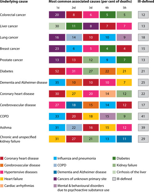 Graphical table showing the most common associated causes of death for the following chronic diseases as the underlying cause, from 2005 to 2007: colorectal cancer, liver cancer, lung cancer, breast cancer, prostate cancer, diabetes, demetia and alzheimer disease, coronary heart disease, cerebrovascular disease, COPD, asthma, and chronic and unspecified kidney failure. The first five most common associated causes of death are shown, with a percentage for each. These include: coronary heart disease, cerebrovascular disease, hypertensive diseases, heart failure, cardiac arrhythmias, influenza and pneumonia, COPD, demetia and alzheimer disease, cancers of unknown primary site, mental and behavioural disorders due to psychoactive substance use, diabetes, kidney failure, cirrhosis of the liver, and ill-defined causes.