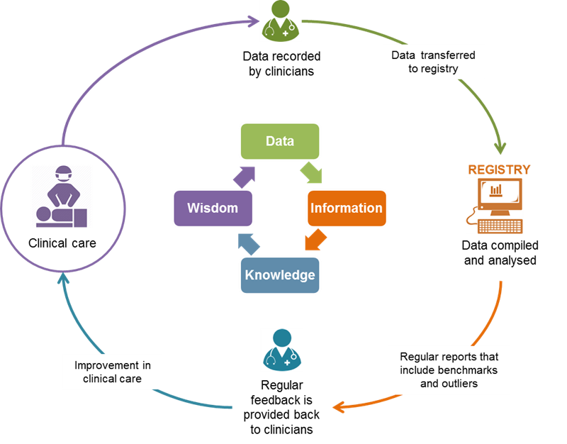 The clinical improvement cycle starts with clinicians’ reporting of clinical data to the clinical quality registry, where data analysis produces information reported back to the clinicians. The clinicians’ improved knowledge of their clinical performance gives them the wisdom to improve their clinical care, as reported back to the registry.