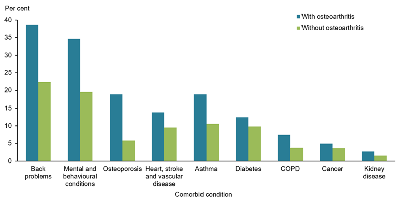 This vertical bar chart compares the prevalence of chronic conditions (including back problems, mental and behavioural conditions, osteoporosis, heart stroke and vascular disease, asthma, diabetes, COPD, cancer, and kidney disease) among those with and without osteoarthritis. Those with osteoarthritis had higher rates of all chronic conditions compared with those without osteoarthritis.