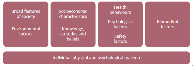 This diagram shows the determinants of health. The determinants are divided into four groups: broader features of society and environmental characteristics; socioeconomic characteristics, and knowledge, attitudes and beliefs; health behaviours, psychological factors and safety factors; and biomedical factors. An individual’s physical and psychological makeup is also associated with these four groups, but depicted separately.