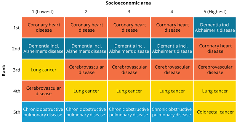 Coronary heart disease and dementia were the two leading causes of death in every socioeconomic area, with coronary heart disease the leading in all areas except the highest (most advantaged).