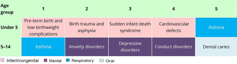 This diagram shows the 5 leading causes of total burden for children under the age of 5, and children aged 5–14. The leading cause for children under 5 was pre-term birth and low birthweight complications, and for children aged 5 to 14, asthma.
