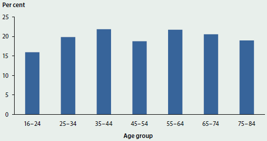 Column graph showing the proportion of people with a mental illness per age group who had a GP treatment plan in 2010-11. The proportion was around 15-23%25 across all age groups.