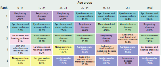 Table showing the leading long-term health conditions for Indigenous Australians, by age group, in 2012-13. The leading condition for people aged 0-34 is respiratory diseases, and the leading condition for people aged 35+ is eye diseases and vision problems.