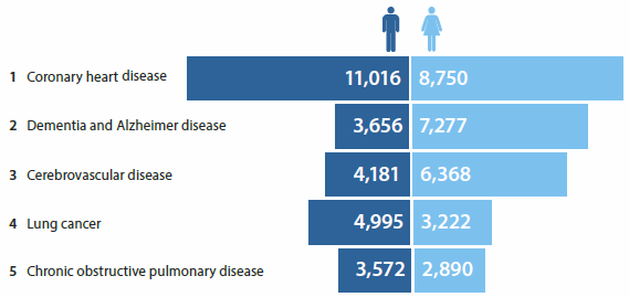 Bar chart showing the leading causes of death in 2013 for Australian men and women. The leading causes for both sexes are: coronary heart disease, dementia and Alzheimer disease, cerebrovascular disease, lung cancer, and chronic obstructive pulmonary disease.