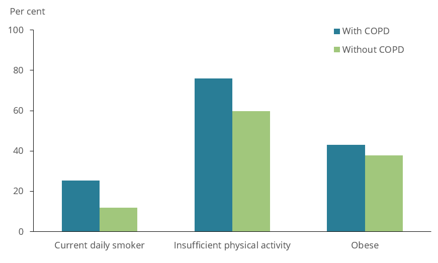 This figure shows that except for smoking, the prevalence of the selected risk factors was higher in people aged 65 and over with COPD compared with those aged 45–64.