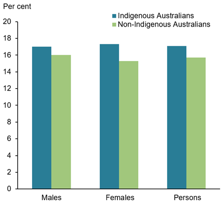The vertical bar chart shows that, after adjusting for age, the prevalence of back problems was relatively similar in Indigenous Australians (13%25 of males, 15%25 of females) compared with Total Australians (13%25 of males, 12%25 of females).