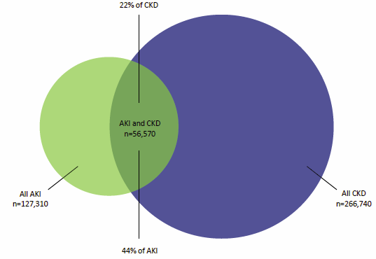 Figure 2.8 compares the number of hospitalisations for acute kidney injury and for chronic kidney disease in 2012–13, showing the overlap where those with the injury also had the disease. Data on the figure show that 44%25 of people hospitalised for the injury also had the disease. The converse figure for those with the disease who also had the injury was 22%25.