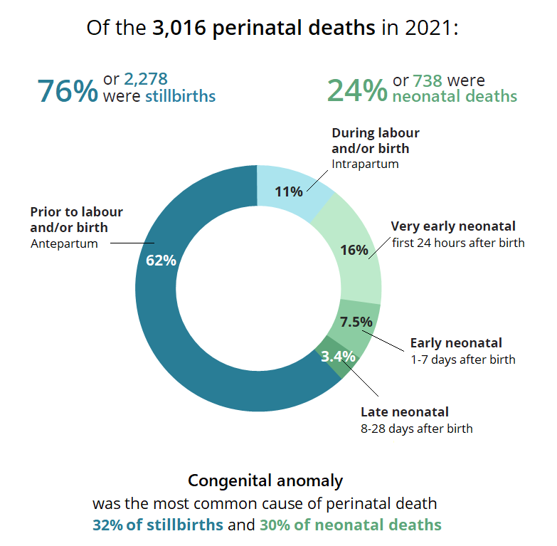 Summary breakdown of the 3,016 perinatal deaths in 2021, by type (stillbirth vs neonatal death) and timing. Congenital anomaly was the most common cause.