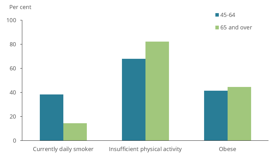 The bar chart shows risk factors among people aged 45 and over with COPD in 2017–18 by age group. People aged 45–64 with COPD were more likely to be a current daily smoker than people aged 65 and over (38%25 vs 14%25). While people aged 65 and over with COPD were more likely to be insufficiently physically active (82%25) than people aged 45–64 years (68%25).