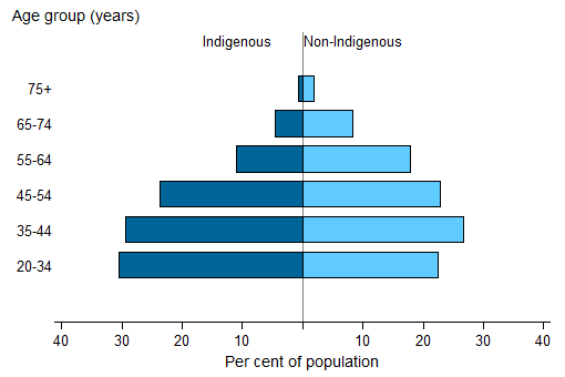 Spilt bar chart showing for Indigenous (LHS) and non-Indigenous (RHS); age group (years) (20-34 to 75plus) on the y axis; per cent of population (0 to 40) on the x axis.