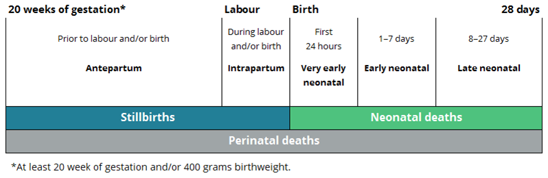 Definitions of perinatal death
Antepartum stillbirths occur prior to labour and/or birth. Intrapartum stillbirths occur during labour and/or birth. Very early neonatal deaths occur within the first 24 hours of birth. Early neonatal deaths occur between 2 and 7 days following birth. Late neonatal deaths occur between 8 and 28 days following birth. Perinatal deaths are all stillbirths and neonatal deaths from 20 weeks' gestation to 28 days following birth.