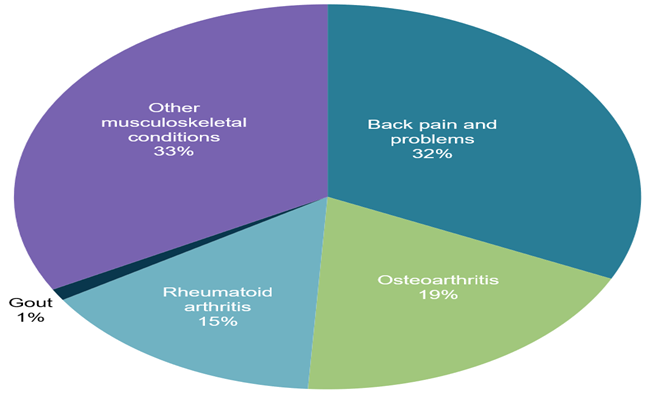 This vertical bar chart compares the percentage of self-reported osteoarthritis, rheumatoid arthritis and ‘other type and unknown’, by sex. Females had higher rates of osteoarthritis (12%25), rheumatoid arthritis (2.0%25) and ‘other type and unknown’ (5%25) compared with males (7%25, 1.5%25 and 4%25 respectively).