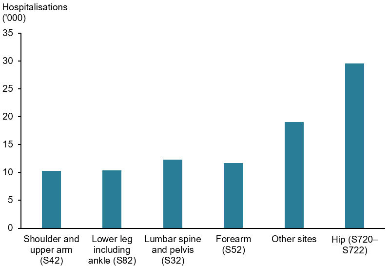Figure 2 shows that hip fractures were the most common site for a minimal trauma fracture in hospitals (29,541 hospitalisations), followed by other sites (19,064 hospitalisations), lumbar spine and pelvis (12,332 hospitalisations), forearm (11,726 hospitalisations), lower leg including ankle (10,348 hospitalisations), and shoulder and upper arm (10,310 hospitalisations).