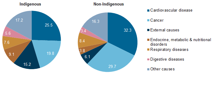pie charts of indigenous and non-indigenous causes of death