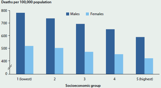 Column graph indicating the decrease in deaths per 100000 population as socioeconomic group increases, for both males and females.