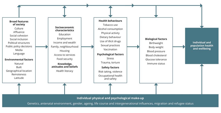 An individual's physical and psychological makeup, such as genetics and life course, affect the determinants of health. Determinants of health are split into broad features of society (such as culture), environmental factors (such as the natural environment), socioeconomic characteristics (such as education), knowledge, attitudes and beliefs (such as health literacy), health behaviours (such as tobacco use), psychological factors (such as stress), safety factors (such as risk taking), and biomedical factors (such as birth weight). All of these factors interact to influence health.