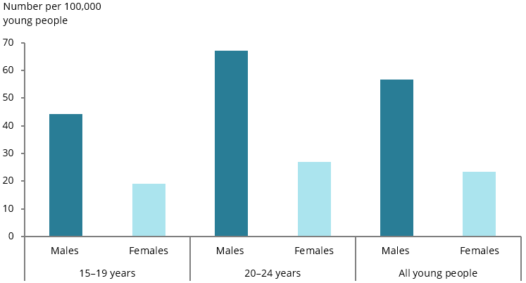 The bar chart shows that the mortality rate among young males is higher than females for both those aged 15–19 and 20–24.