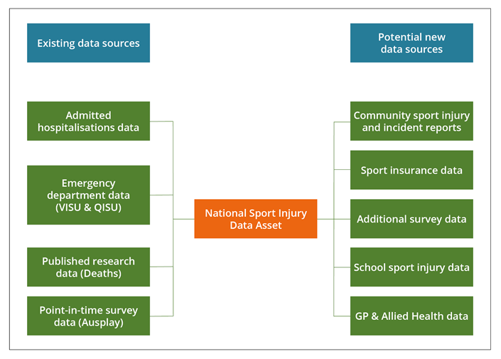 Existing data sources which could contribute to the National Sports Injury Data Strategy include data on hospitalisations and emergency department presentations, published research data on deaths and point-in-time survey data such as those from AusPlay. Potential new data sources may be from community sport injury and incident reports, sport insurance data, additional survey data, school sport injury data, General Practitioner and Allied Health data.