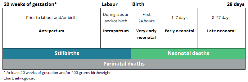 the graphics describes the definitions of perinatal death. Antepartum stillbirths occur prior to labour and/or birth. Intrapartum stillbirths occur during labour and/or birth. Very early neonatal deaths occur within the first 24 hours of birth. Early neonatal deaths occur between 2 and 7 days following birth. Late neonatal deaths occur between 8 and 28 days following birth. Perinatal deaths are all stillbirths and neonatal deaths from 20 weeks' gestation to 28 days following birth.