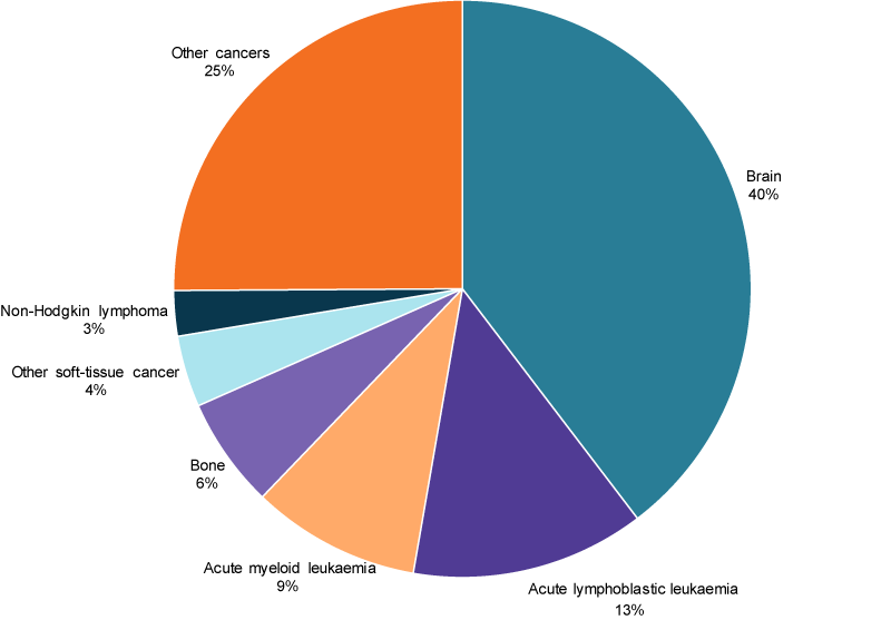 This pie chart shows the most common causes of cancer deaths for children aged 0–14. The most common cause of cancer was brain (40%25), followed by acute lymphoblastic leukaemia (13%25) and acute myeloid leukaemia (9.5%25) in 2015–2017.
