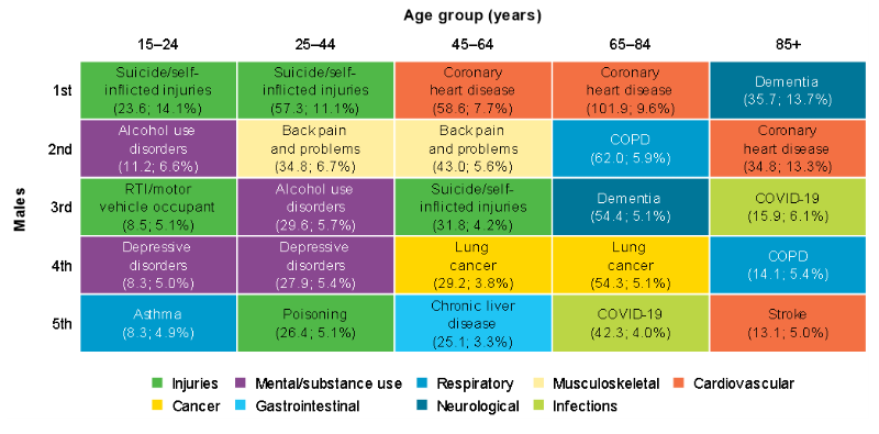 This figure shows the leading causes of ill health and death for males aged 15 and over, and that suicide, depressive and alcohol disorders affect younger age groups compared to older age groups where dementia and coronary heart disease are leading causes.