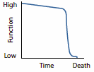 Line chart showing a steep decline in function close to death.