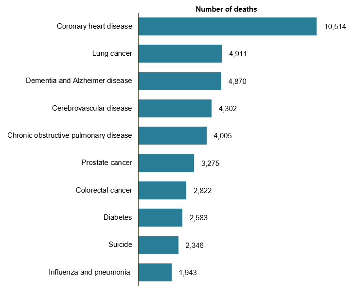 This bar chart shows the top 10 leading causes of death for males in 2017. The top leading cse of death was coronary heart disease (10,514 deaths). The remaining 9 causes, each less than 5,000 deaths, were: lung cancer, dementia and Alzheimer disease, cerebrovascular disease, chronic obstructive pulmonary disease, prostate cancer, colorectal cancer, diabetes, suicide, and influenza and pneumonia (1,943 deaths).