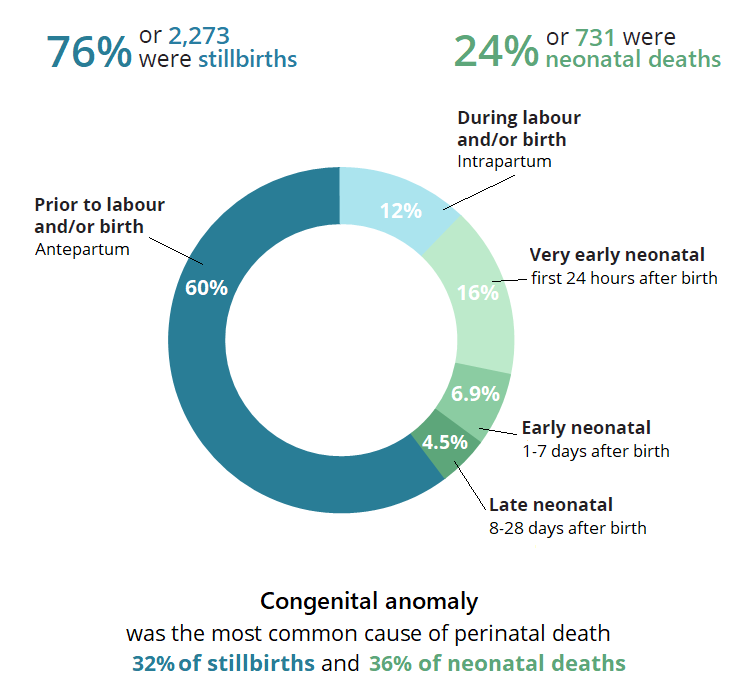 76% or 2,273 were stillbirths. 24% or 731 were neonatal deaths. 60% prior to labour and/or birth (Antepartum). 12% During labour and/or birth (Intrapartum). 16% Very early neonatal (first 24 hours after birth). 6.9% Early neonatal (1 to 7 days after birth). 4.5% Late neonatal (8 to 28 days after birth). Congenital anomaly was the most common cause of perinatal death. 32% of stillbirths and 35%25 of neonatal deaths.