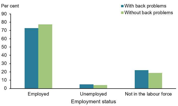 This figure shows that there was  little difference between workforce participation and whether people had back problems or not.