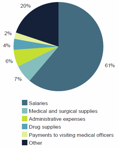 This pie chart shows 61%25 of recurrent expenditure on public hospitals is for salaries, 16%25 is for other expenditure, 7%25 is for medical and surgical supplies, 6%25 for administrative expenses, 4.1%25 for drug supplies and 2.4%25 for payments to visiting medical officers. The data for this figure are available in Chapter 4 of Hospital resources 2014–15: Australian hospital statistics.