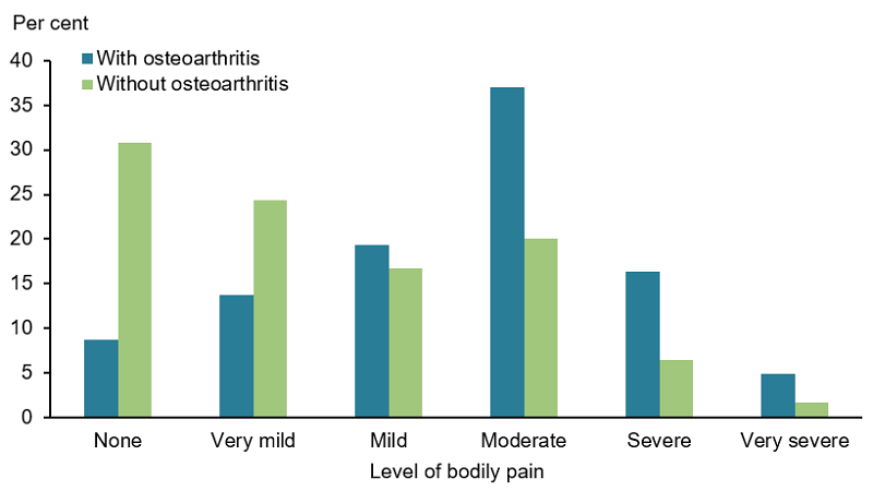 This figure shows that 33% of those with osteoarthritis experienced very mild to mild bodily pain, compared with 41% of those without the condition.