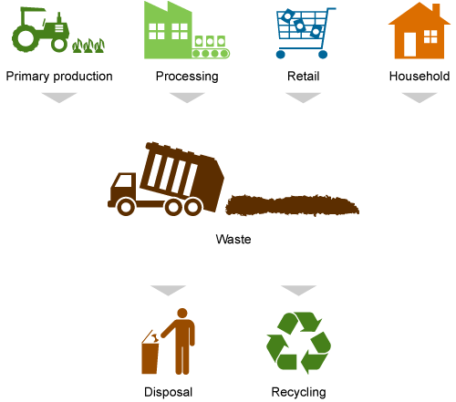 Sources of waste (primary production, processing/manufacturing, retail, household) in the food supply chain to disposal and/or recycling.