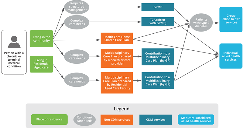 This diagram shows patient pathways for CDM services.